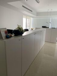 Scotts Highpark (D9), Condominium #574259521